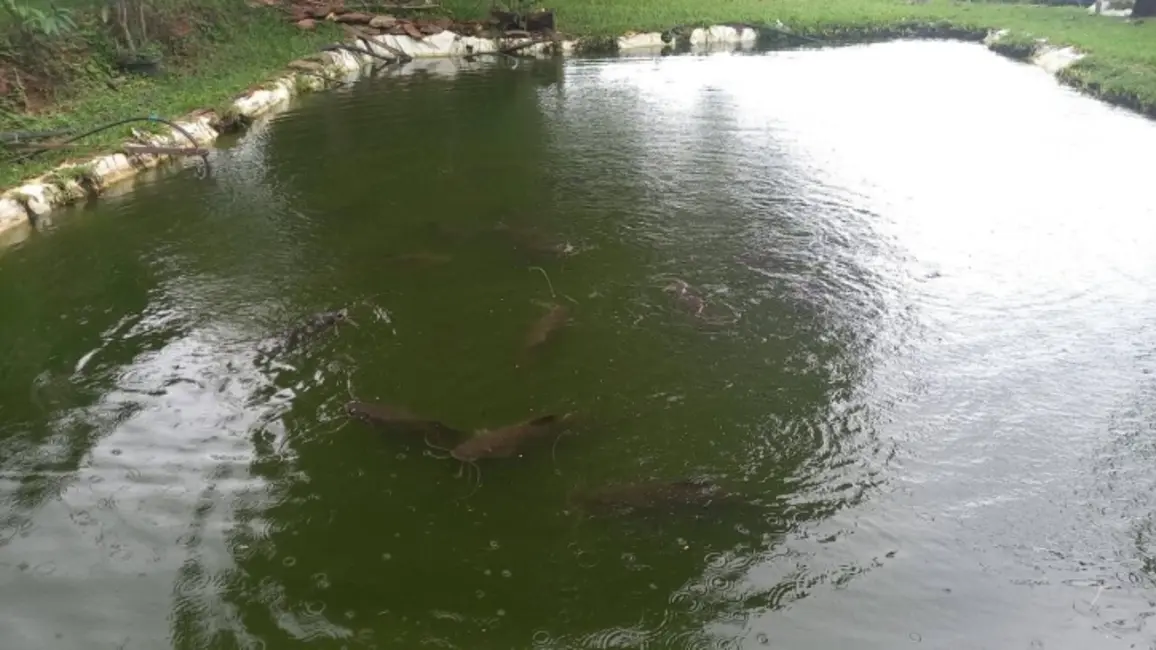 Foto 7 de Chácara à venda em Itapuranga - GO