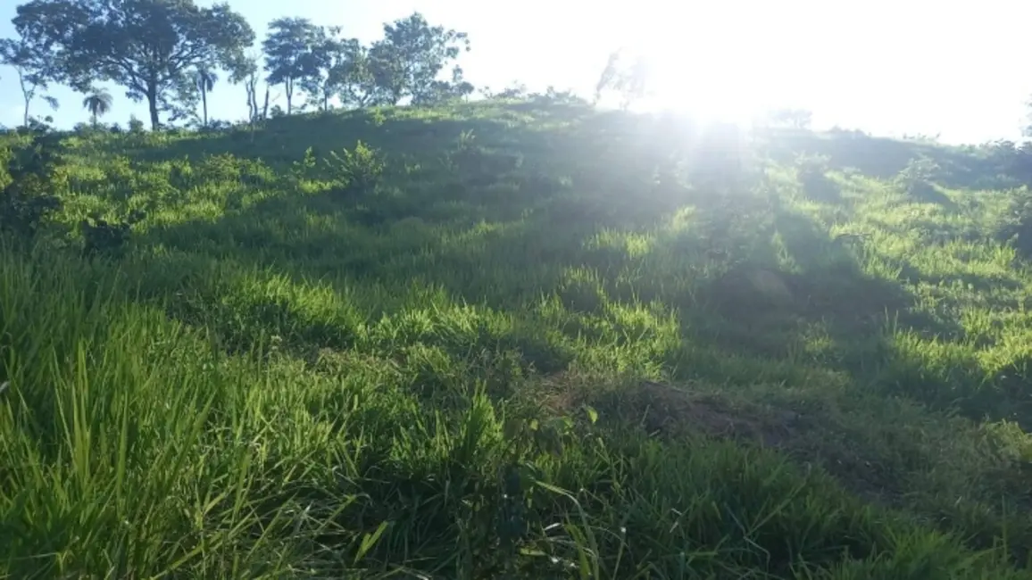 Foto 1 de Chácara à venda em Itapuranga - GO
