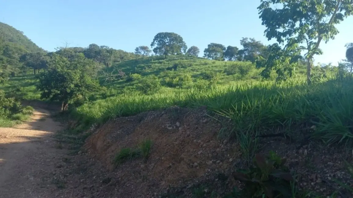 Foto 8 de Chácara à venda em Itapuranga - GO