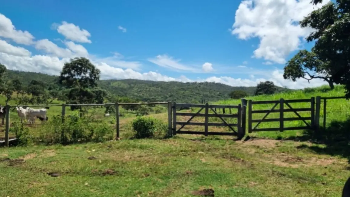 Foto 6 de Fazenda / Haras com 4 quartos à venda, 101m2 em Itapuranga - GO