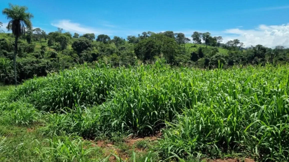 Foto 3 de Fazenda / Haras com 4 quartos à venda, 101m2 em Itapuranga - GO