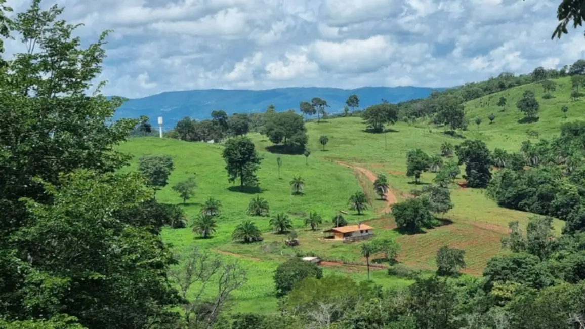 Foto 2 de Fazenda / Haras à venda, 101m2 em Itapuranga - GO
