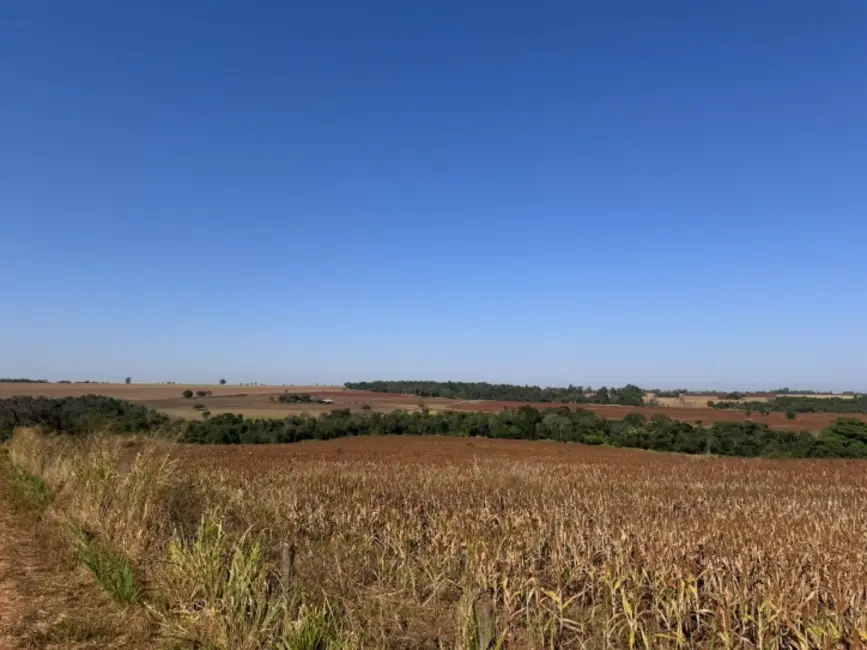 Foto 9 de Chácara à venda em Itaberai - GO