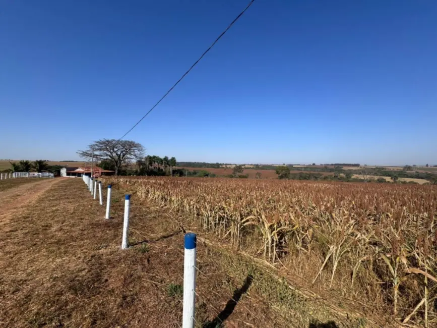 Foto 1 de Chácara à venda em Itaberai - GO