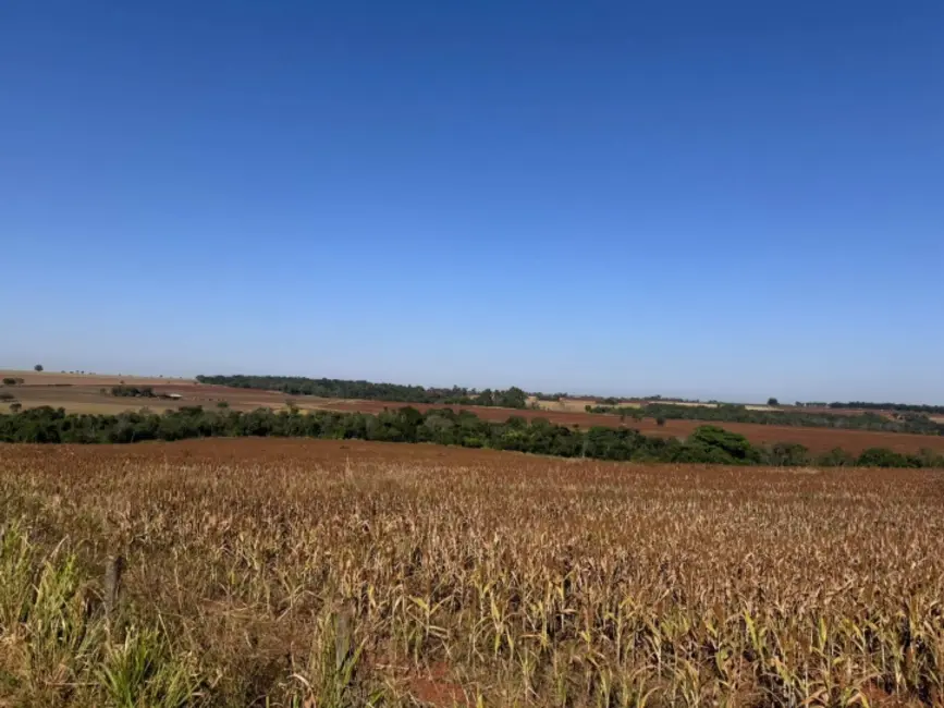 Foto 5 de Chácara à venda em Itaberai - GO
