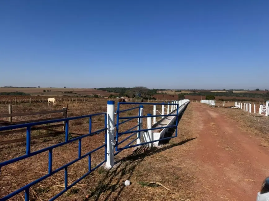 Foto 8 de Chácara à venda em Itaberai - GO