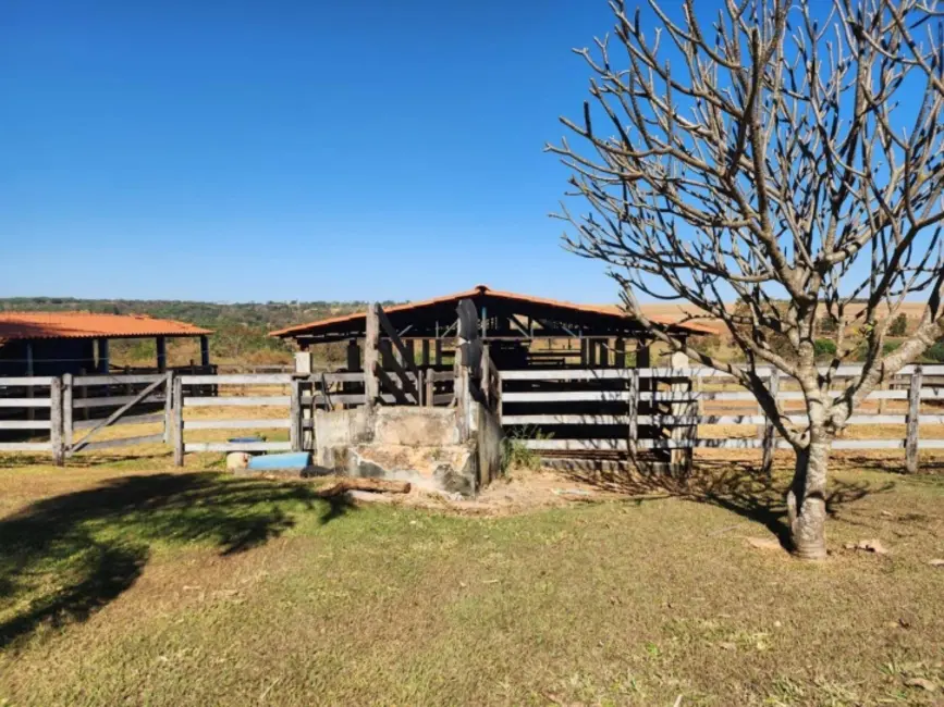 Chácara à venda, 13m2 em Jardim Barcelona, Bela Vista De Goias - GO - imagem 5 Foto 5 de Chácara à venda, 13m2 em Jardim Barcelona, Bela Vista De Goias - GO
