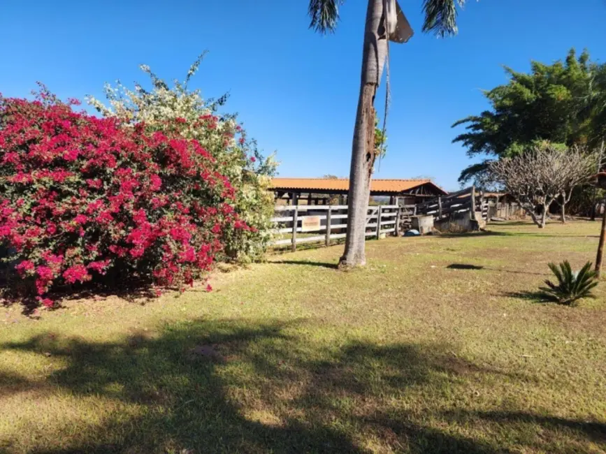 Chácara à venda, 13m2 em Jardim Barcelona, Bela Vista De Goias - GO - imagem 7 Foto 7 de Chácara à venda, 13m2 em Jardim Barcelona, Bela Vista De Goias - GO