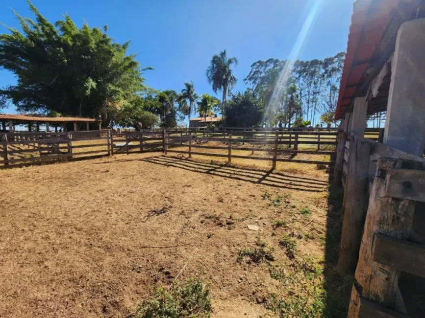 Chácara à venda, 13m2 em Jardim Barcelona, Bela Vista De Goias - GO - imagem 6 Foto 6 de Chácara à venda, 13m2 em Jardim Barcelona, Bela Vista De Goias - GO