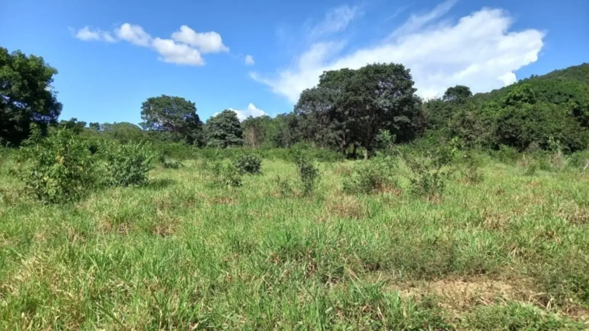 Foto 3 de Chácara à venda, 14m2 em Montividiu Do Norte - GO