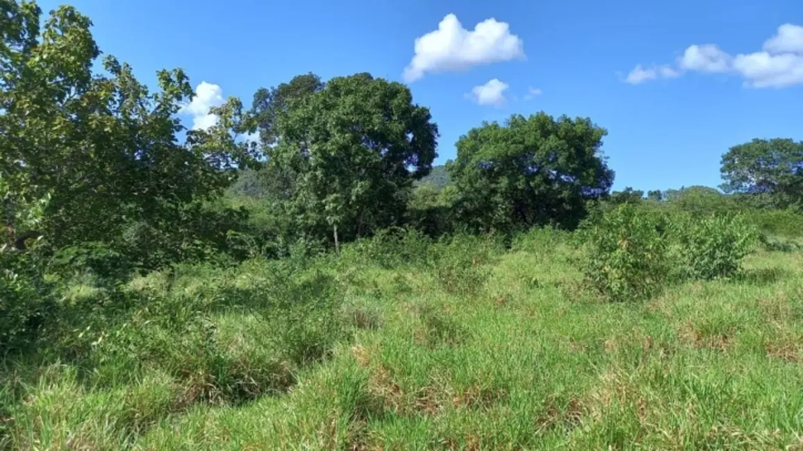 Foto 7 de Chácara à venda, 14m2 em Montividiu Do Norte - GO