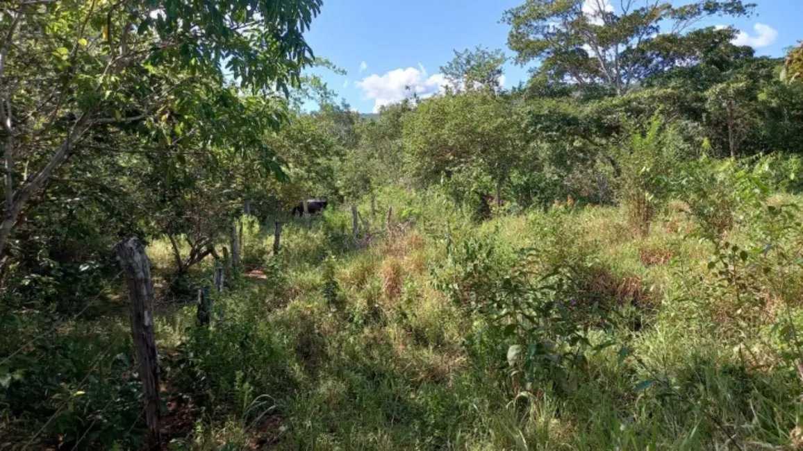 Foto 4 de Chácara à venda, 14m2 em Montividiu Do Norte - GO