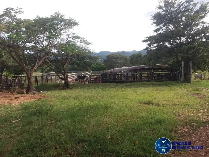 Foto 6 de Fazenda / Haras à venda, 34m2 em Faina - GO