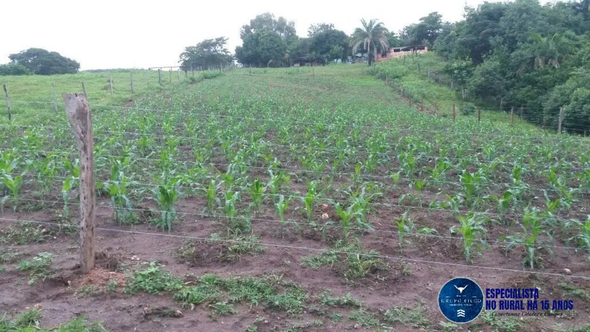 Foto 9 de Fazenda / Haras à venda, 34m2 em Faina - GO