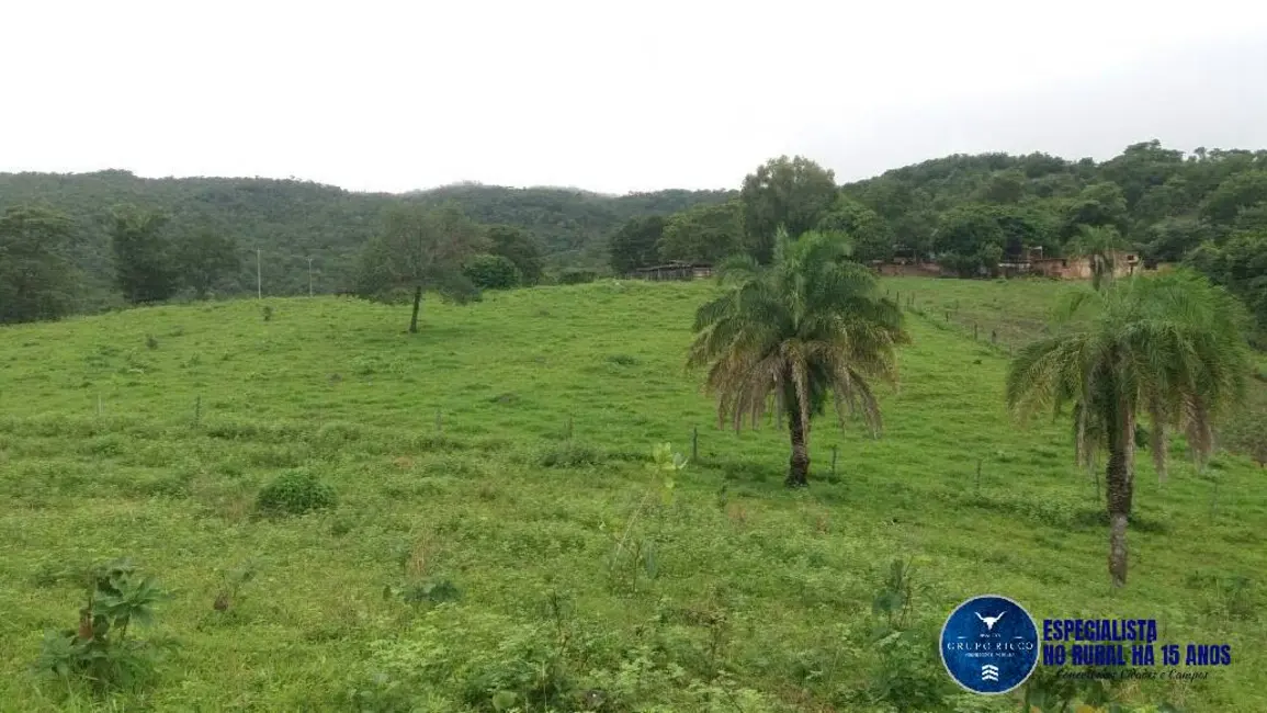 Foto 1 de Fazenda / Haras à venda, 34m2 em Faina - GO
