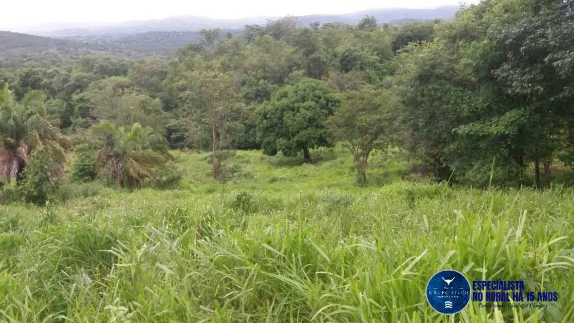 Foto 3 de Fazenda / Haras à venda, 34m2 em Faina - GO