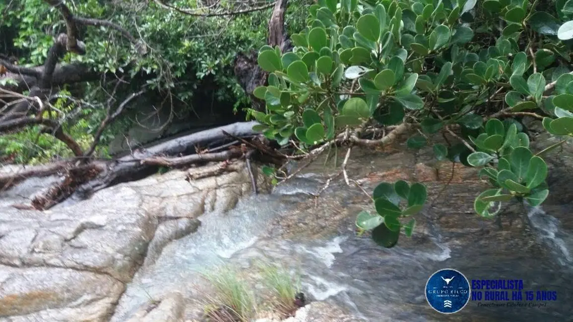 Foto 5 de Fazenda / Haras à venda, 34m2 em Faina - GO