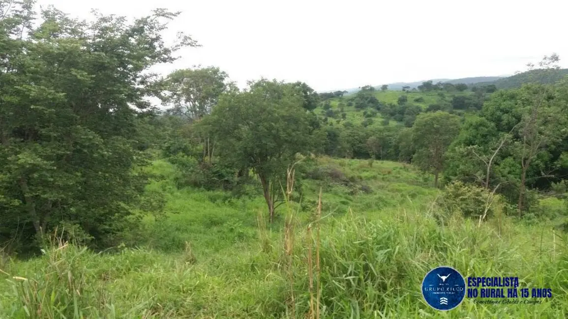 Foto 4 de Fazenda / Haras à venda, 34m2 em Faina - GO