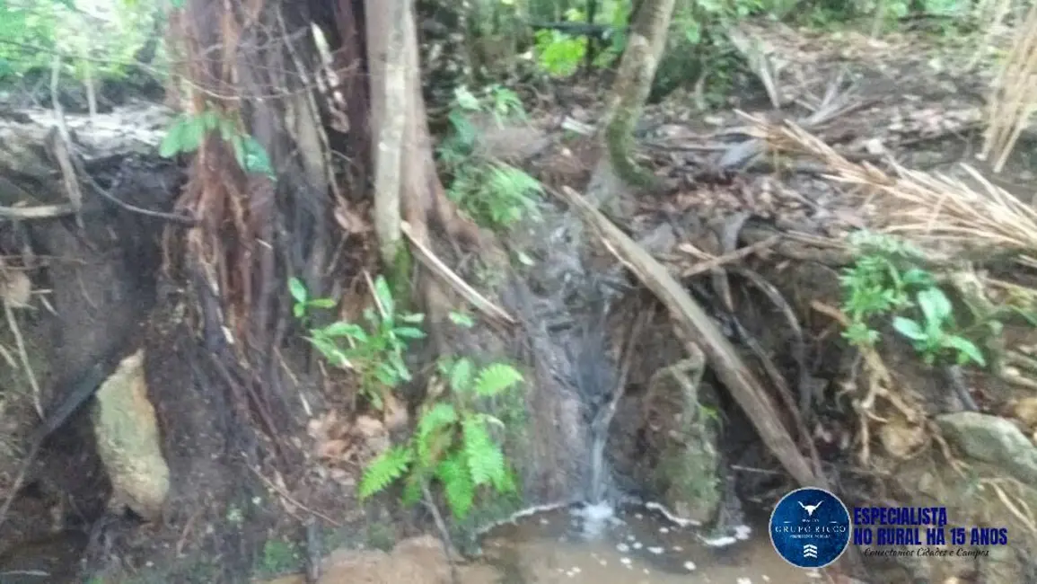 Foto 8 de Fazenda / Haras à venda, 34m2 em Faina - GO