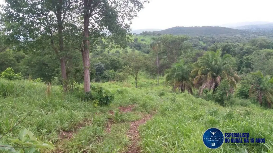 Foto 2 de Fazenda / Haras à venda, 34m2 em Faina - GO