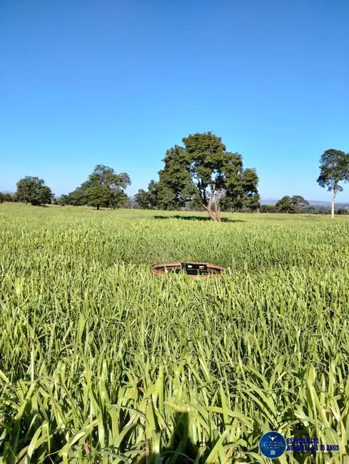 Foto 1 de Fazenda / Haras à venda, 103m2 em Itaruma - GO