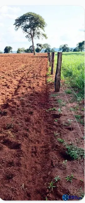 Foto 7 de Fazenda / Haras com 1 quarto à venda, 103m2 em Itaruma - GO