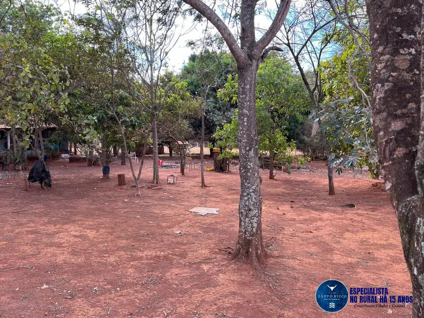 Foto 5 de Chácara à venda, 5000m2 em Setor Central, Nova Veneza - GO