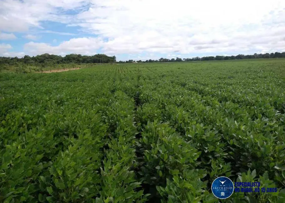 Foto 3 de Fazenda / Haras à venda, 4400m2 em Barra Do Garcas - MT