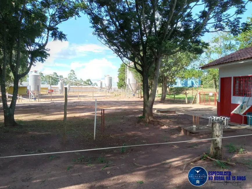 Fazenda / Haras à venda, 46m2 em Mineiros - GO - imagem 4 Foto 4 de Fazenda / Haras à venda, 46m2 em Mineiros - GO