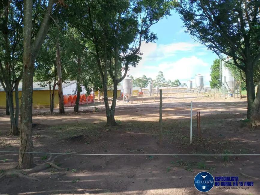 Fazenda / Haras à venda, 46m2 em Mineiros - GO - imagem 7 Foto 7 de Fazenda / Haras à venda, 46m2 em Mineiros - GO