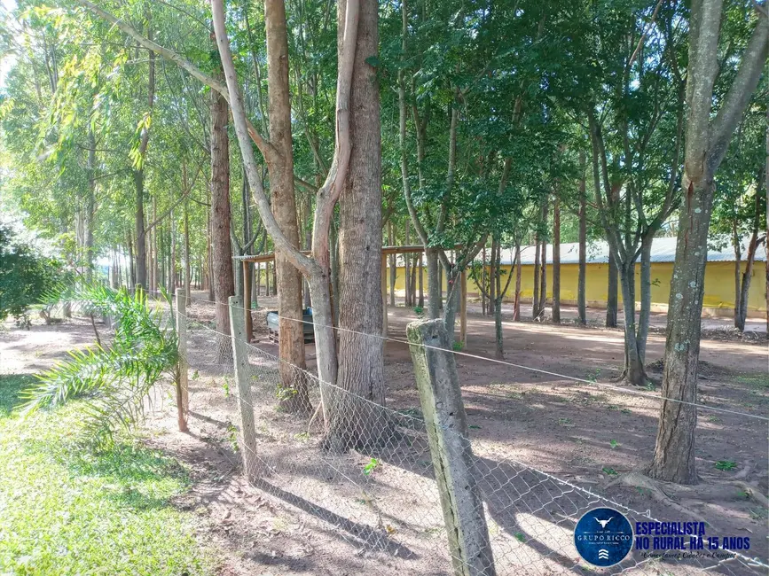 Fazenda / Haras à venda, 46m2 em Mineiros - GO - imagem 8 Foto 8 de Fazenda / Haras à venda, 46m2 em Mineiros - GO