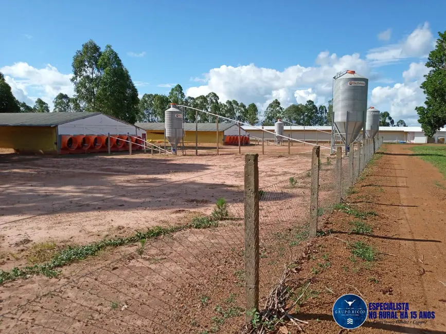 Fazenda / Haras à venda, 46m2 em Mineiros - GO - imagem 9 Foto 9 de Fazenda / Haras à venda, 46m2 em Mineiros - GO