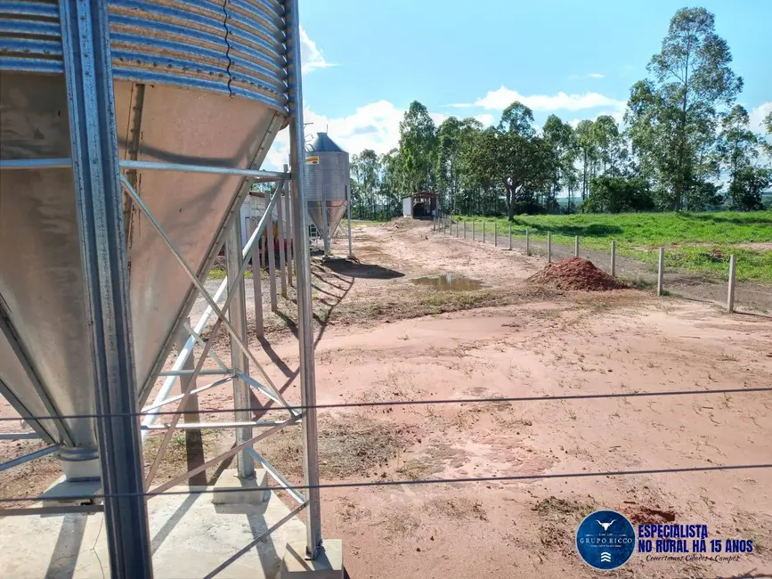 Fazenda / Haras à venda, 46m2 em Mineiros - GO - imagem 6 Foto 6 de Fazenda / Haras à venda, 46m2 em Mineiros - GO