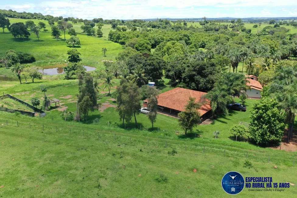 Foto 4 de Sítio / Rancho à venda, 15m2 em Setor Central, Palmeiras De Goias - GO