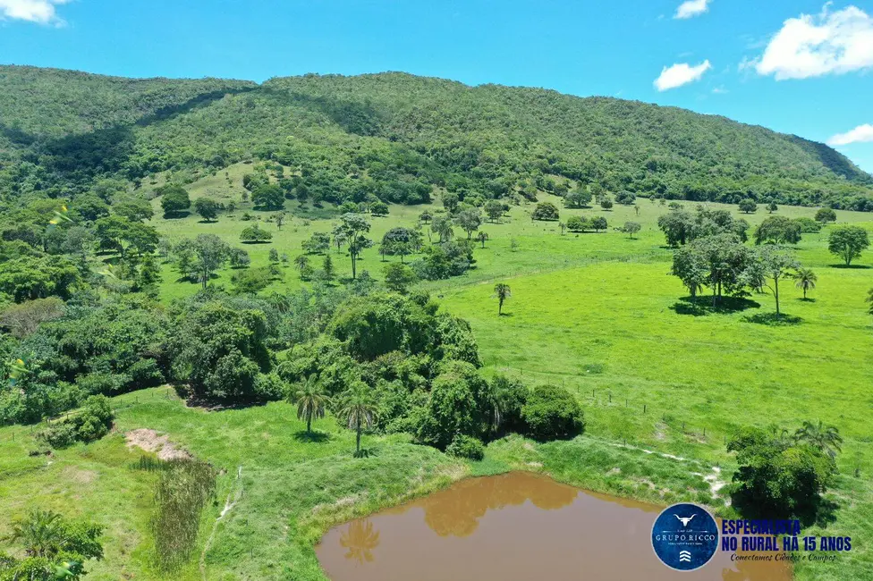 Foto 8 de Sítio / Rancho à venda, 15m2 em Setor Central, Palmeiras De Goias - GO