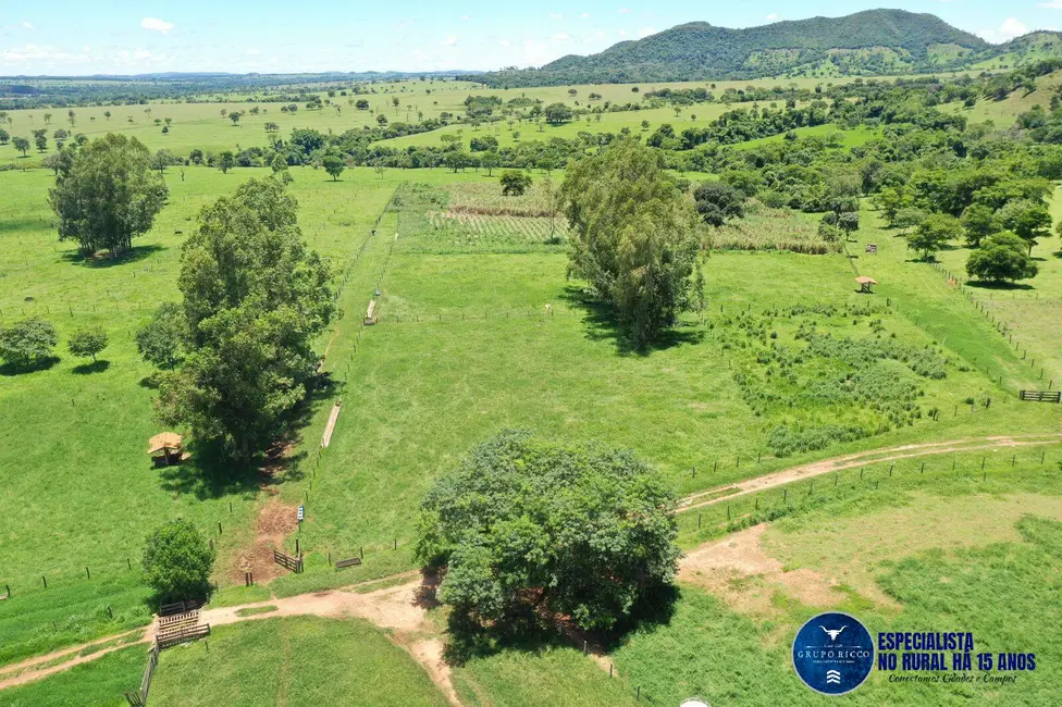 Foto 7 de Sítio / Rancho à venda, 15m2 em Setor Central, Palmeiras De Goias - GO