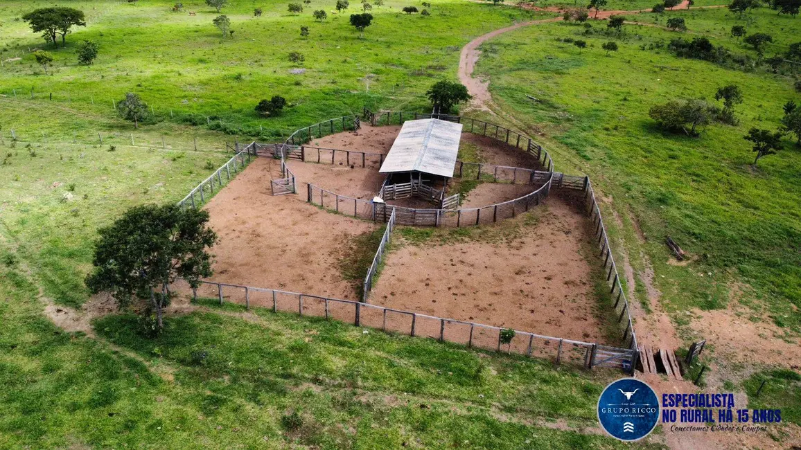 Foto 8 de Fazenda / Haras à venda, 168m2 em Cocalzinho De Goias - GO