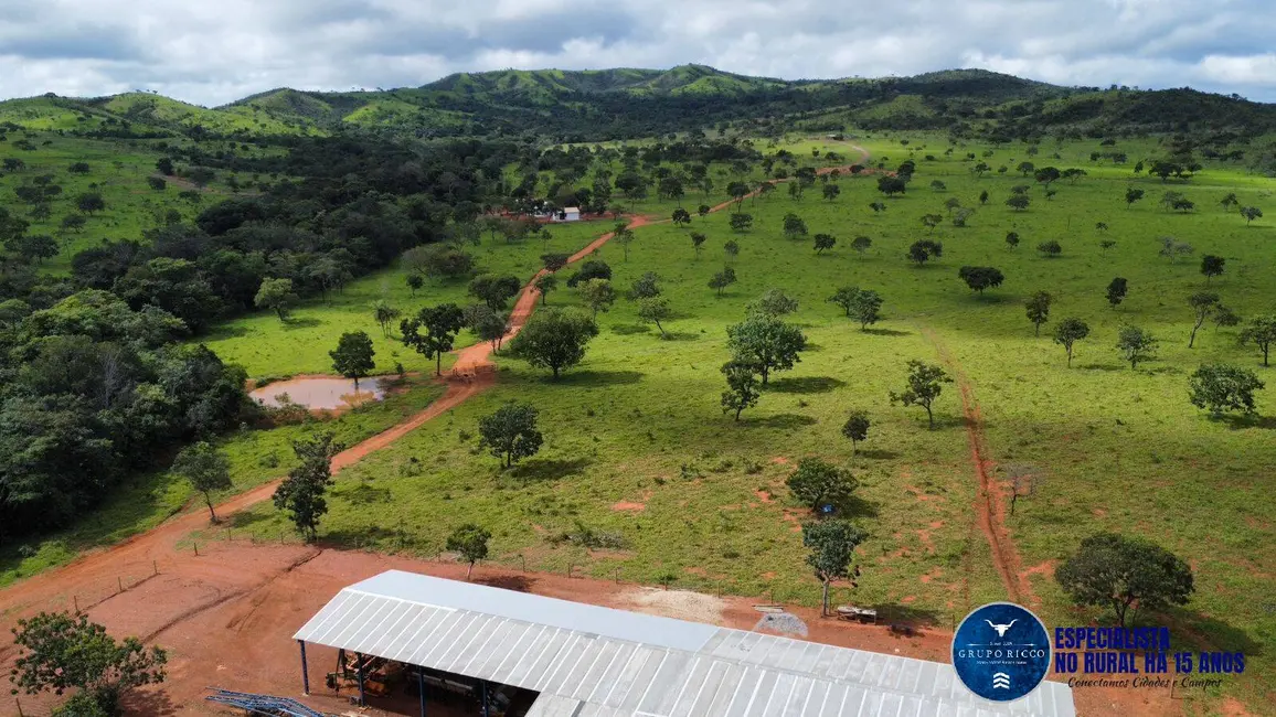 Foto 2 de Fazenda / Haras à venda, 168m2 em Cocalzinho De Goias - GO