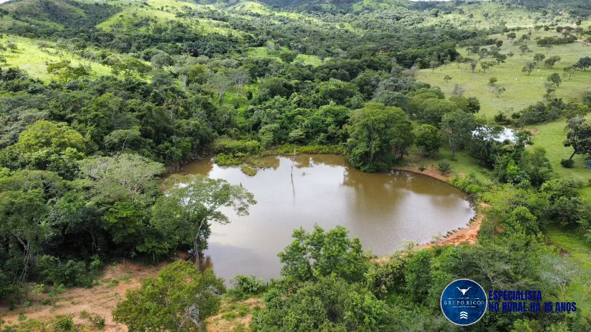 Foto 1 de Fazenda / Haras à venda, 168m2 em Cocalzinho De Goias - GO