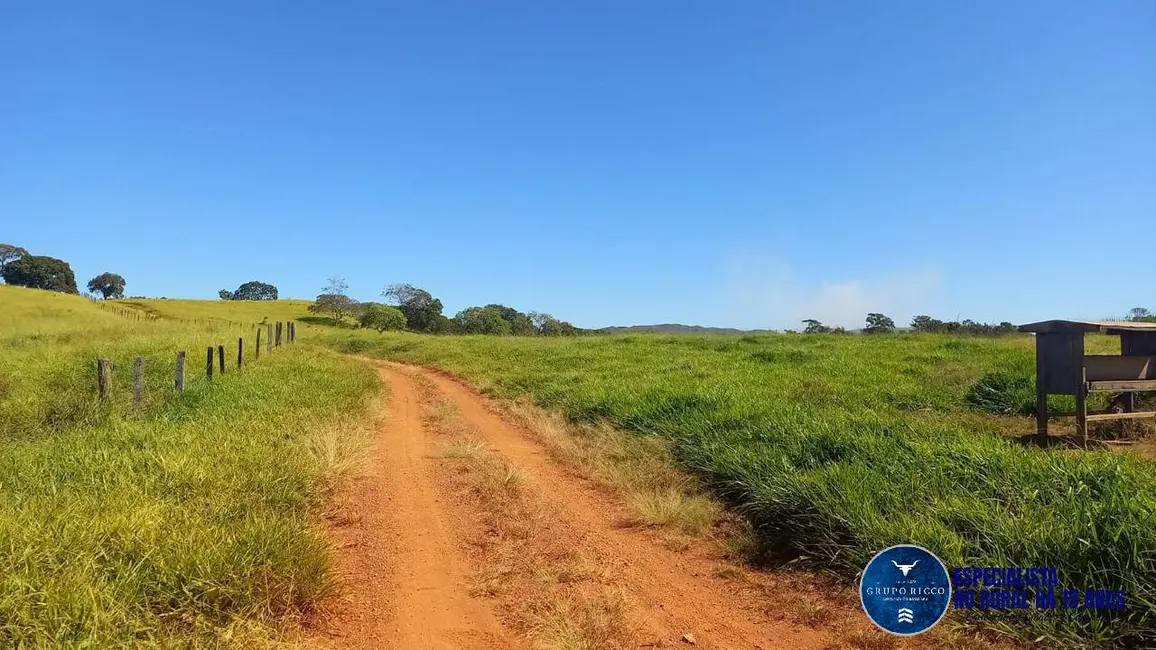 Foto 1 de Fazenda / Haras à venda, 40m2 em Itaberai - GO