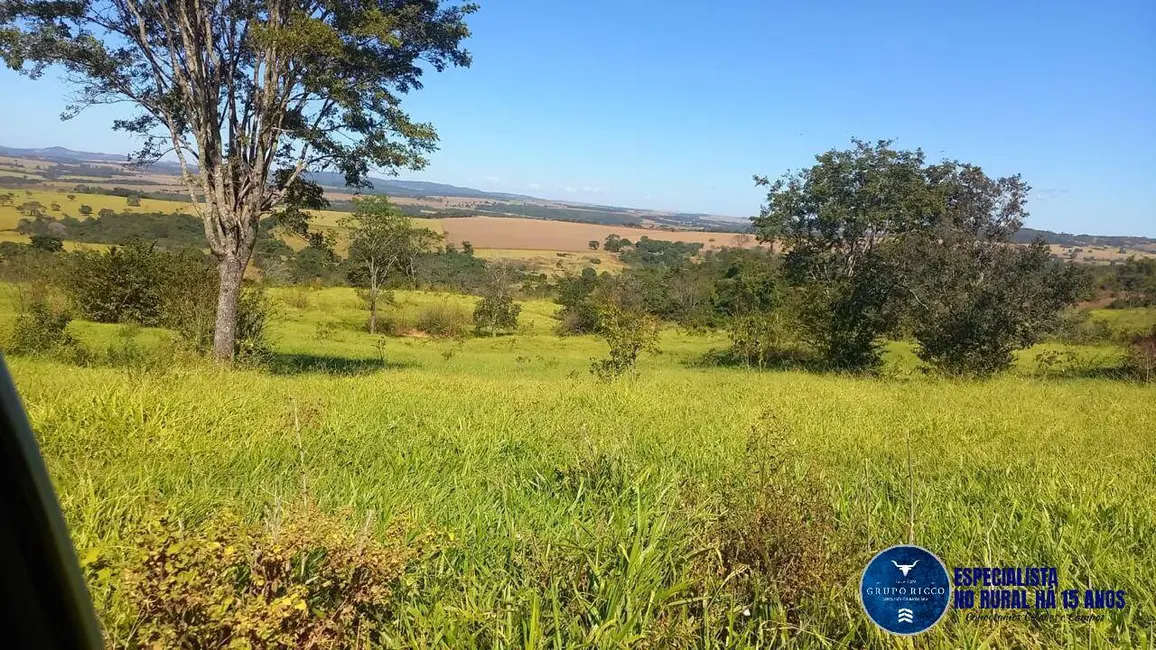 Foto 6 de Fazenda / Haras com 3 quartos à venda, 40m2 em Itaberai - GO