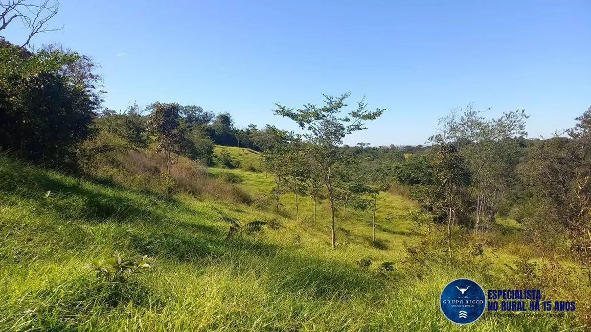 Foto 9 de Fazenda / Haras com 3 quartos à venda, 40m2 em Itaberai - GO