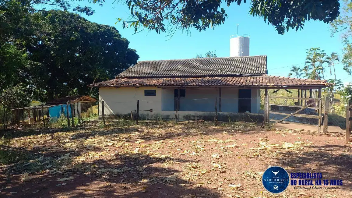 Foto 8 de Fazenda / Haras com 3 quartos à venda, 40m2 em Itaberai - GO