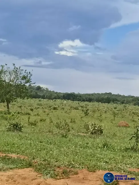 Foto 5 de Fazenda / Haras à venda, 81m2 em Agua Fria De Goias - GO