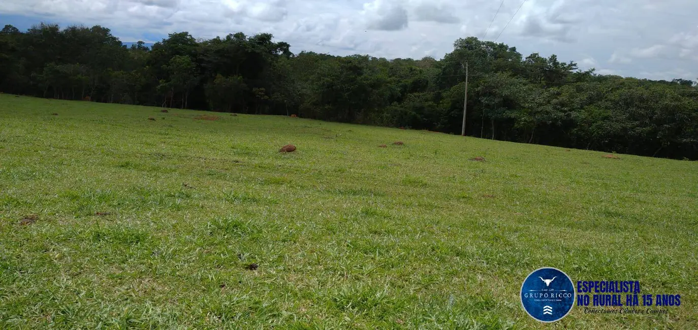 Foto 6 de Fazenda / Haras à venda, 81m2 em Agua Fria De Goias - GO