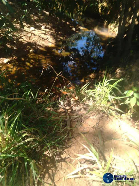 Foto 4 de Fazenda / Haras à venda, 81m2 em Agua Fria De Goias - GO