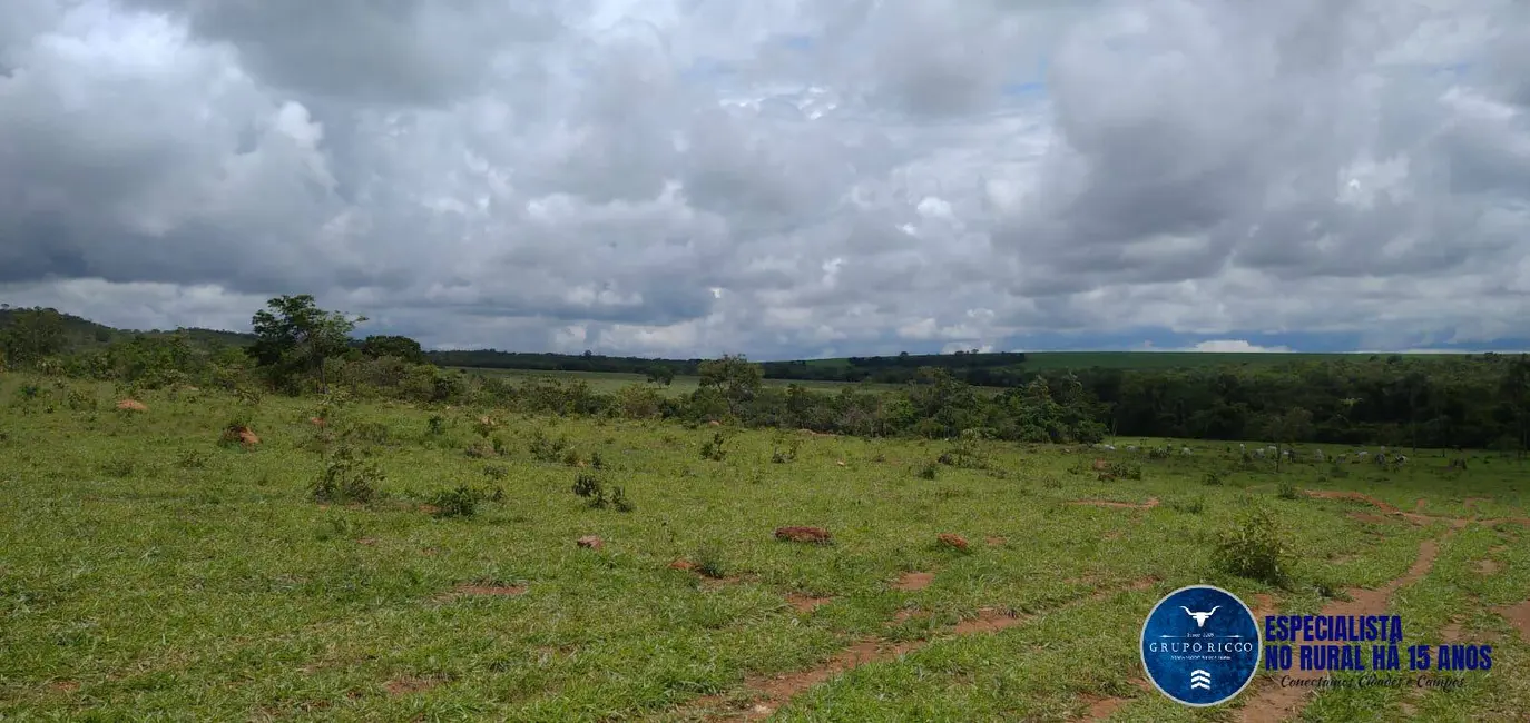 Foto 1 de Fazenda / Haras à venda, 81m2 em Agua Fria De Goias - GO