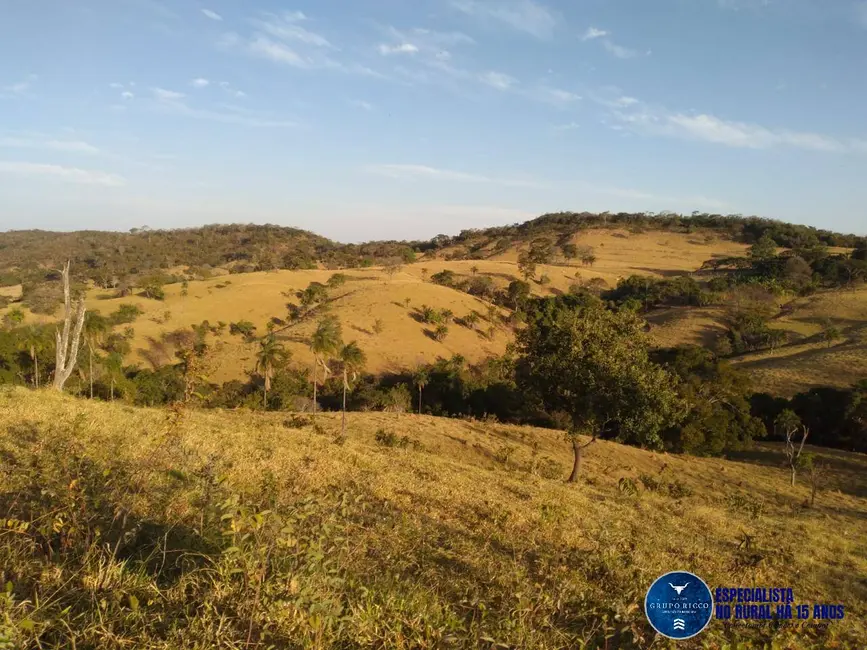 Foto 1 de Fazenda / Haras à venda, 27m2 em Crominia - GO