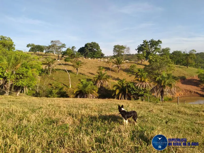 Foto 2 de Fazenda / Haras à venda, 27m2 em Crominia - GO