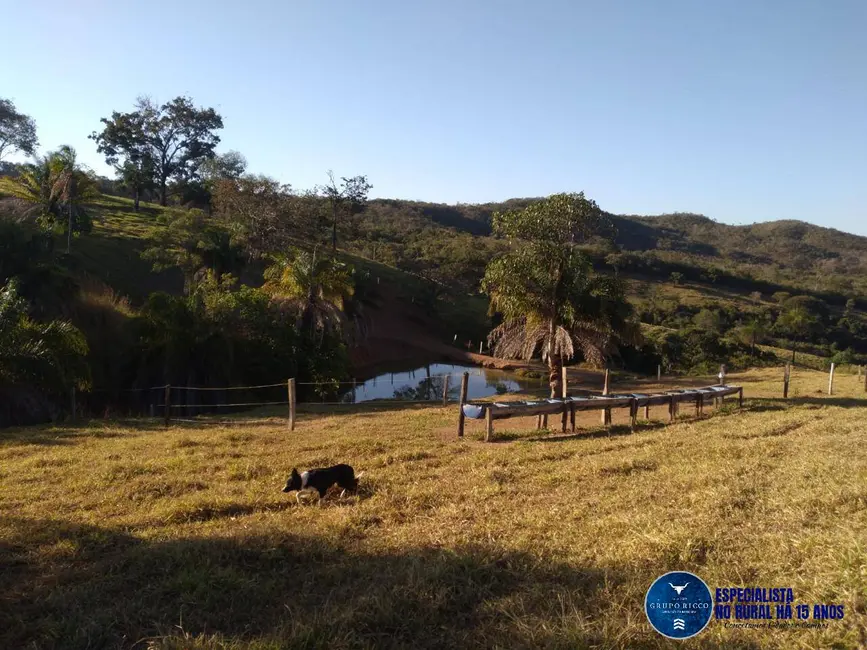 Foto 6 de Fazenda / Haras à venda, 27m2 em Crominia - GO